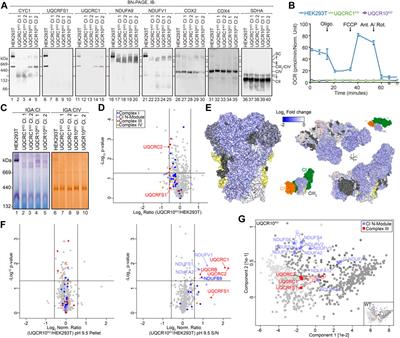 Applying Sodium Carbonate Extraction Mass Spectrometry to Investigate Defects in the Mitochondrial Respiratory Chain